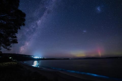 Beach Getaway - Blessington Villa Vacation rental in Tasmania