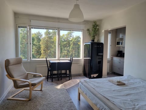 Ylimmän kerroksen yksiö lähellä matkakeskusta Apartment in Finland
