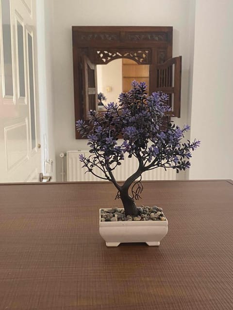 Kisamos Nice Apartment 3 Apartment in Kissamos