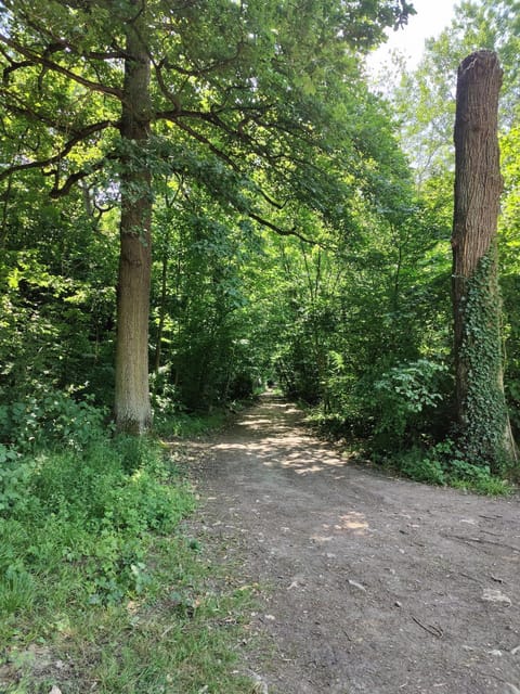 L'Escapade Enchantée Paris-Disneyland Bed and Breakfast in Noisy-le-Grand