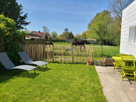 Natural landscape, Garden, Garden view, sunbed
