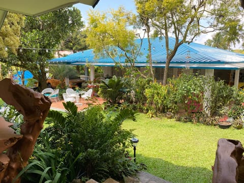 Natural landscape, Garden, Garden view