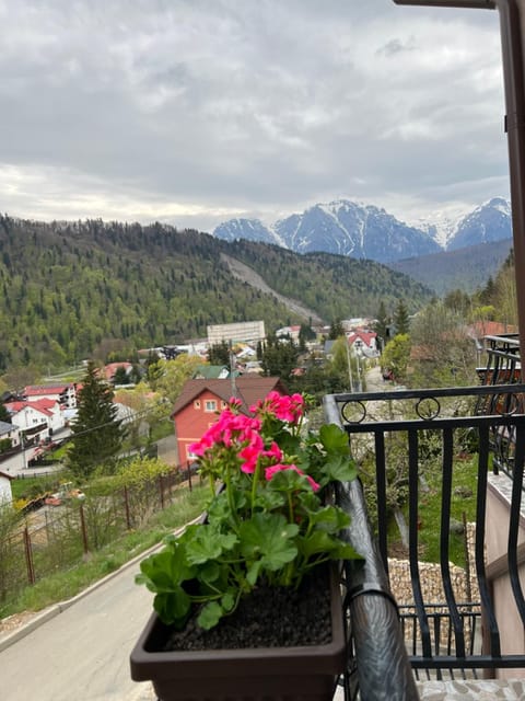 Day, Natural landscape, Balcony/Terrace, Mountain view