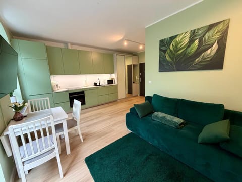 Kitchen or kitchenette, Living room, Seating area, Dining area, stove