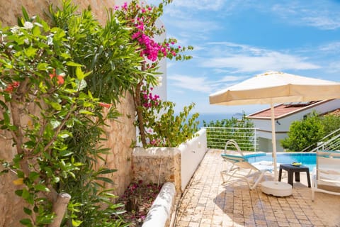 Garden, Pool view, Swimming pool, sunbed