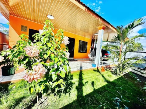 Property building, Garden view