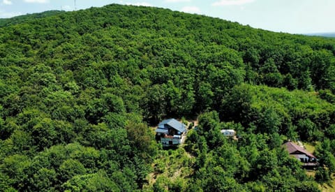 Day, Natural landscape, Bird's eye view, Mountain view