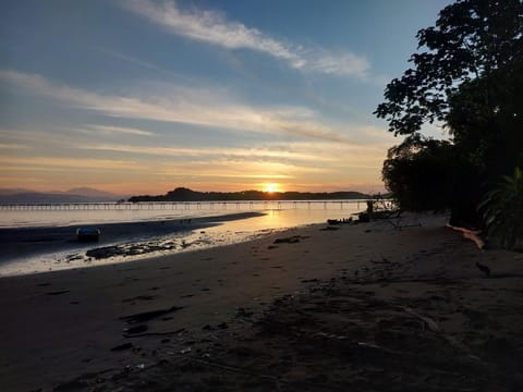Natural landscape, Sunrise