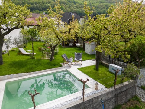 Garden, Swimming pool, Swimming pool