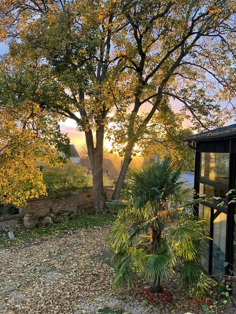 Natural landscape, Garden view