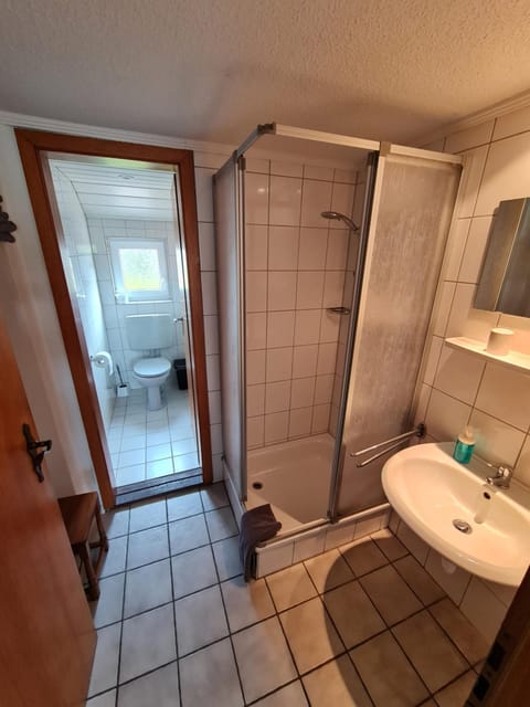 Shower, Toilet, Bathroom, towels