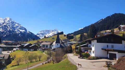 Bergjuwel Kleinwalsertal Apartment in Oberstdorf