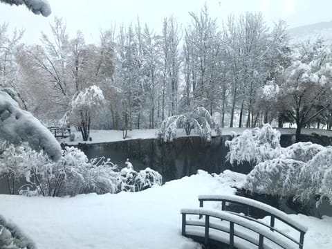 View (from property/room)