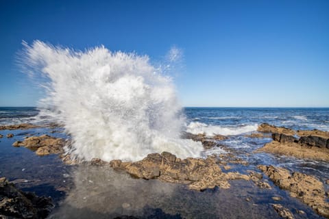 Just Beachy 101 House in Yachats