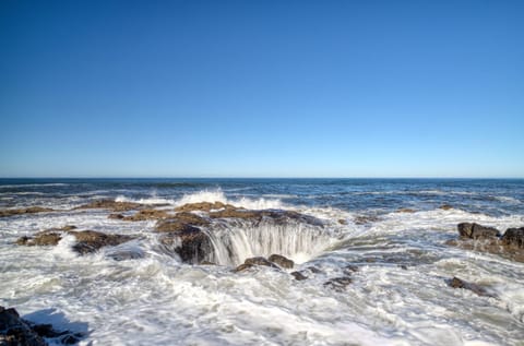 Just Beachy 101 House in Yachats