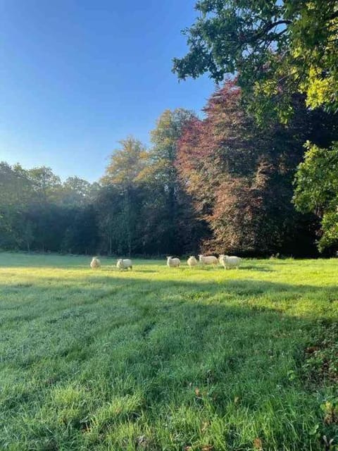 Newly renovated Cottage with private trout fishing set in beautiful wildlife estate House in Northern Ireland