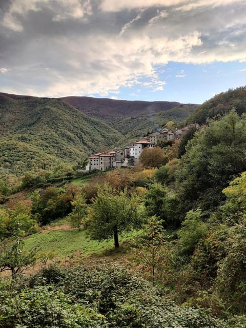 Natural landscape, Mountain view