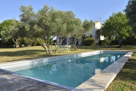 Garden, Pool view, Swimming pool