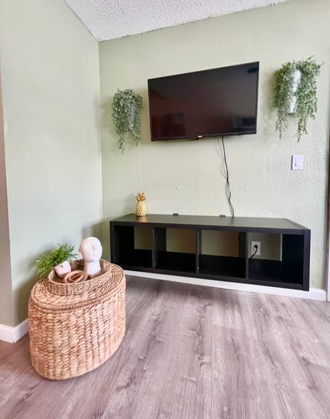 Apartment near TPA Airport Apartment in Tampa