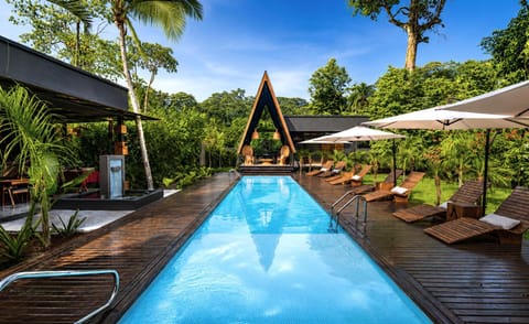 Day, Natural landscape, Garden, Garden view, Pool view, Swimming pool, sunbed
