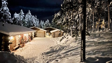 Property building, Night, Natural landscape, Winter
