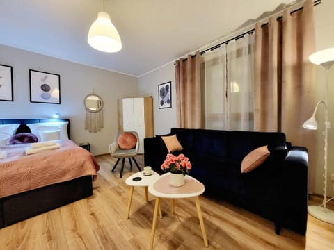 Bed, Living room, Photo of the whole room, Seating area, Bedroom