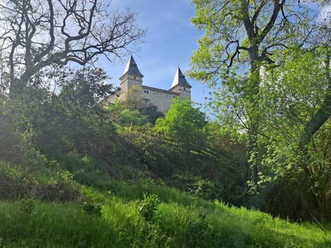 Spring, Garden, Garden view, Landmark view