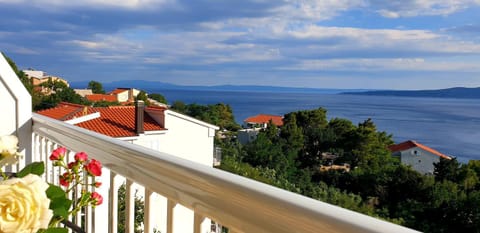 Villa Nikola - Rina Apartment in Brela