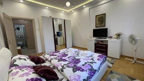 Zone Dedinje Apartment in Belgrade