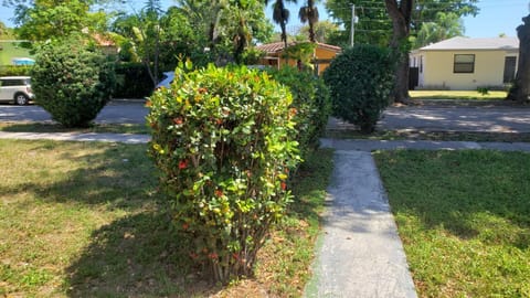 Funston Apartment in Hollywood