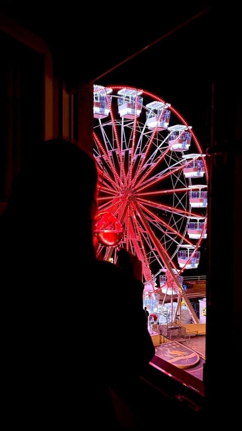 Apartman Loft 72 Apartment in Slavonski Brod