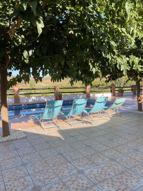 Pool view, Swimming pool, sunbed