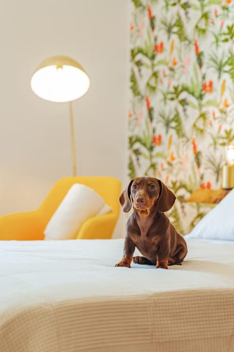 Bedroom, Pets