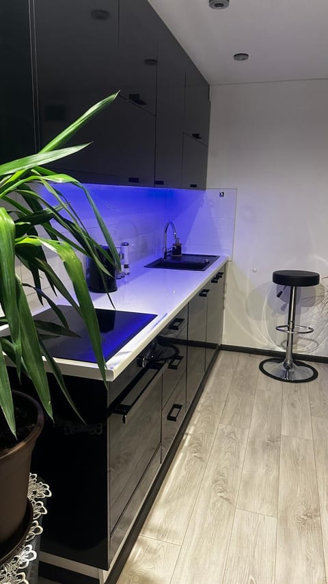 Kitchen or kitchenette, hair dresser