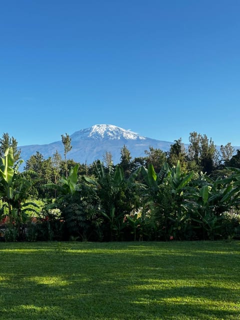 Mountain view, Mountain view