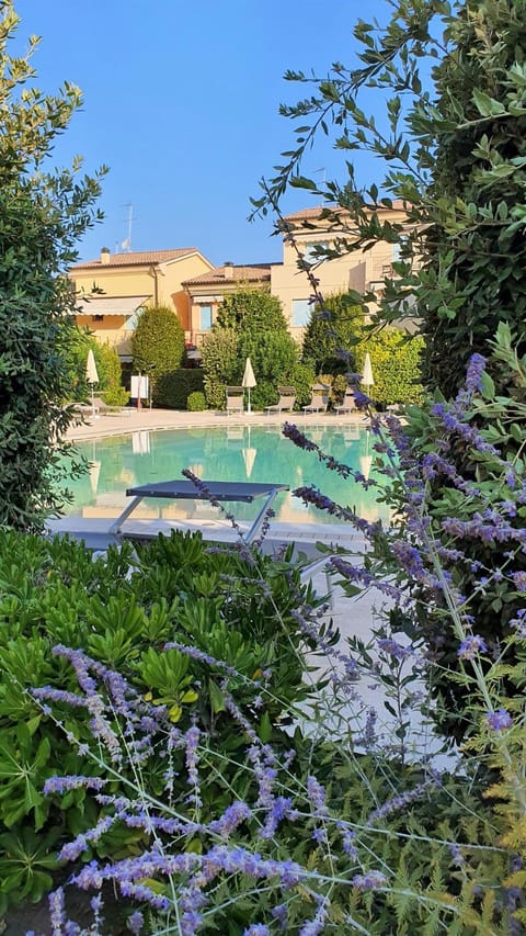 Garden, Swimming pool