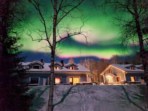Property building, Night, Winter