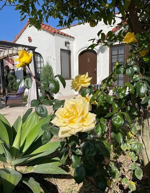 The Heart of Belmont Shore House in Belmont Shore