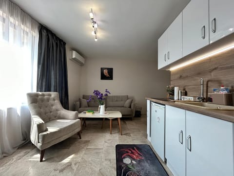 Seating area, kitchen, air conditioner