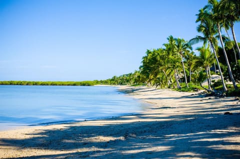 Day, Natural landscape, Beach, Beach, On site, Sea view, Sea view, Area and facilities, Area and facilities