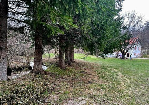 Spring, Day, Natural landscape, Garden, Garden view