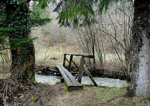 Spring, Day, Natural landscape