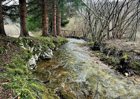 Nearby landmark, Spring, Day, Natural landscape
