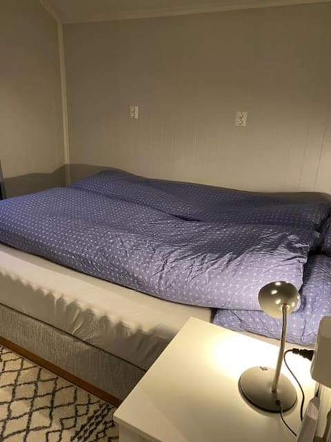 Close to sea, central, rent a boat, mountain hike, wifi, free parking Apartment in Lofoten