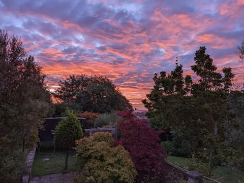 Bristol self-catering studio+kitchen+parking Apartment in Bristol