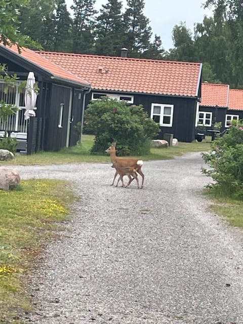 Charmerende sommerhus - 200 m fra stranden House in Væggerløse