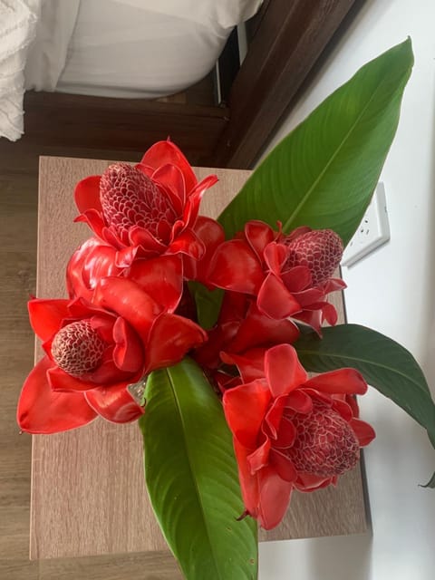 Konini Retreat Apartment in Arorangi District