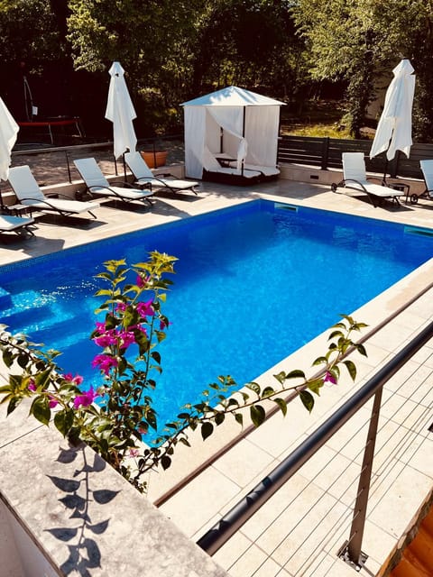Swimming pool, sunbed