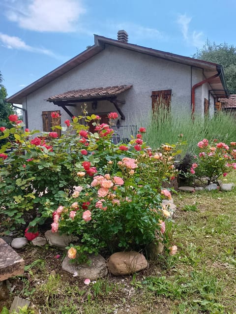 Property building, Garden view