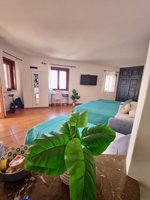 Bed, TV and multimedia, Photo of the whole room